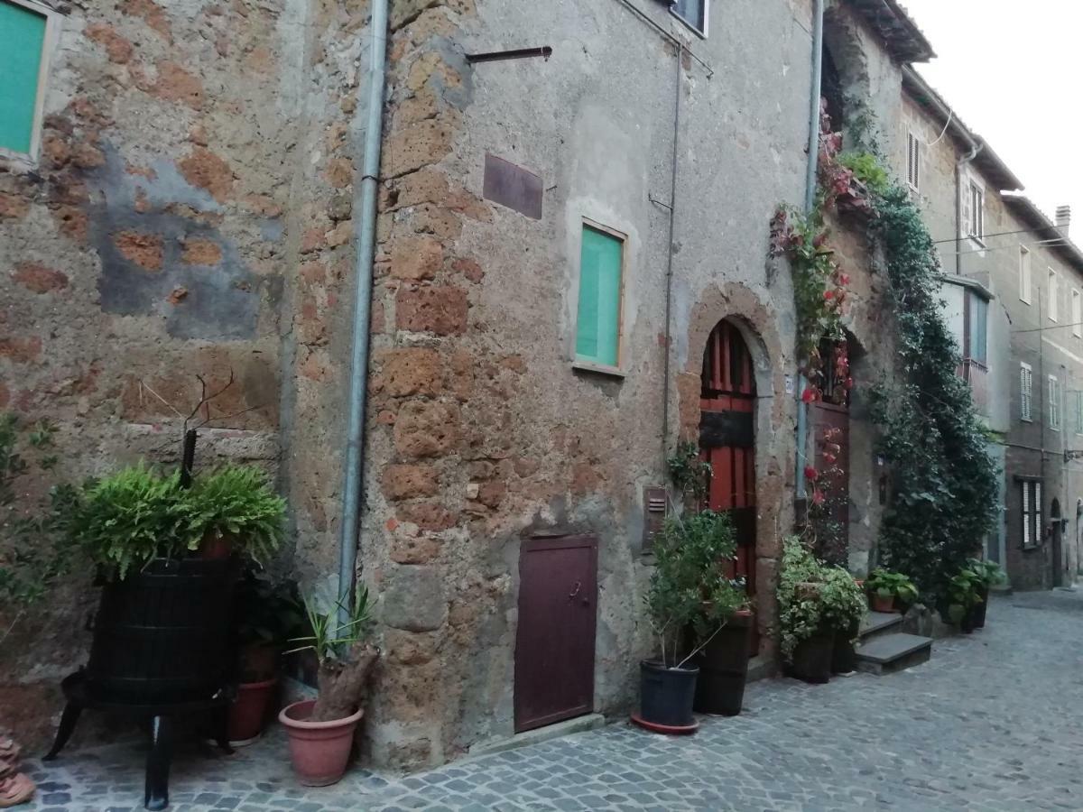 Ferienwohnung Relax Dal Caos Di Citta Barbarano Romano Exterior foto