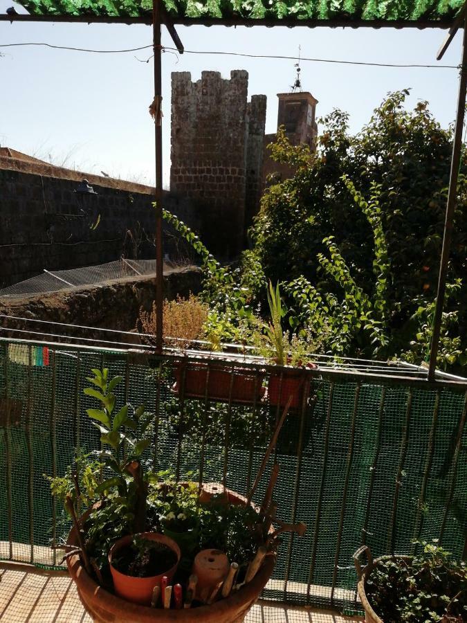 Ferienwohnung Relax Dal Caos Di Citta Barbarano Romano Exterior foto